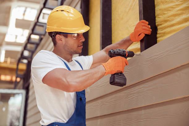 Best Custom Trim and Detailing for Siding  in Potosi, MO